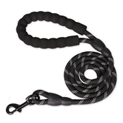 Nylon Climbing Rope Dog Leash & Lead