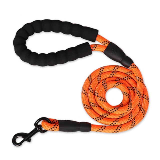 Nylon Climbing Rope Dog Leash & Lead