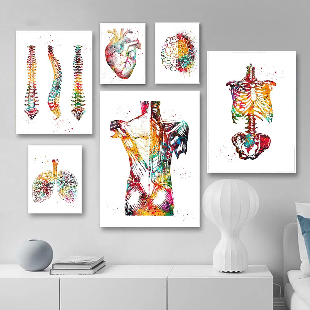 The Anatomy of Anatomy: Abstract & Modern Art - Mountain Village Merchandise