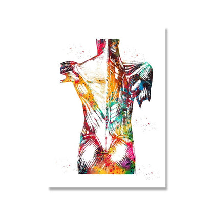 The Anatomy of Anatomy: Abstract & Modern Art - Mountain Village Merchandise